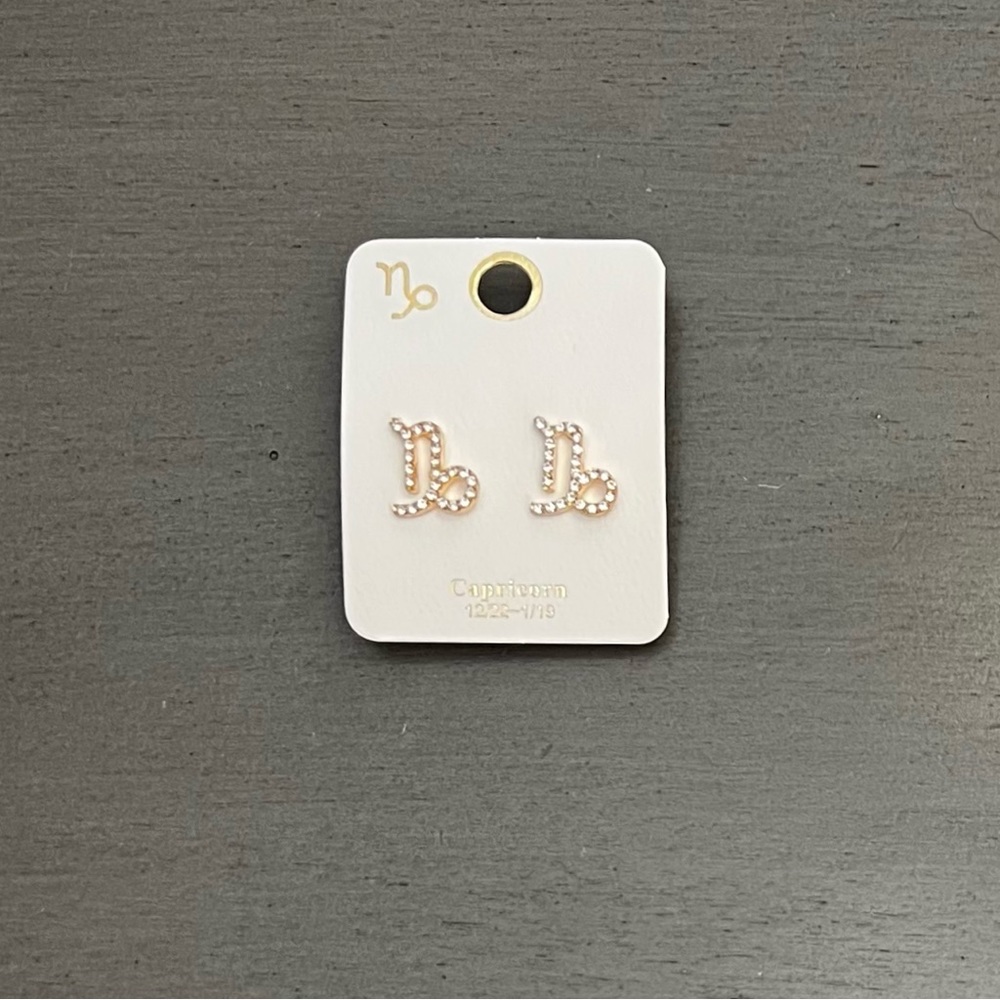 ♑️🐐 Capricorn Astrological Zodiac Sign Crystal Silver Earrings Dec 22 - Jan 19